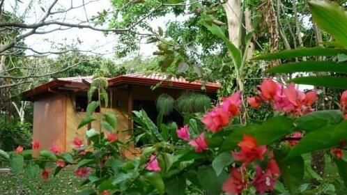 Tacacori EcoLodge - Photo2