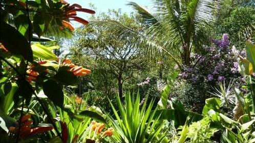 Tacacori EcoLodge - Photo5