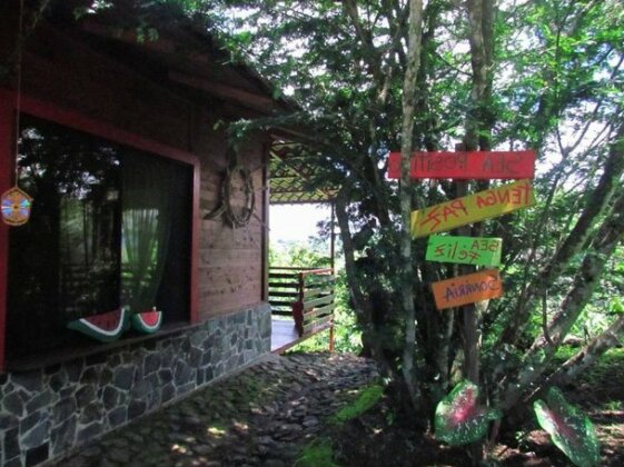 The House of Hummingbird - Photo2