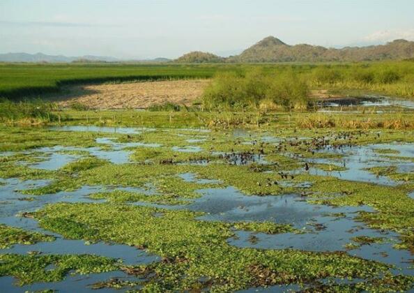 Palo Verde Biological Station - Photo2