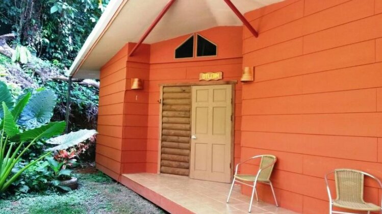 Mar y Selva Ecolodge - Photo2