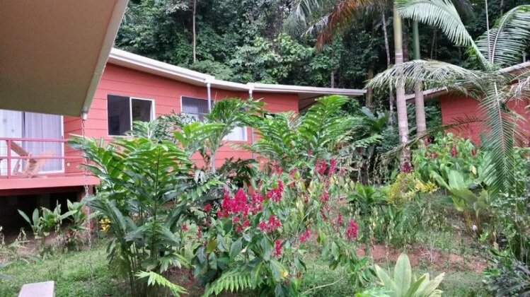 Mar y Selva Ecolodge - Photo5