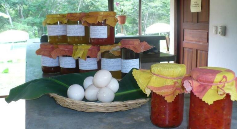 Finca Buena Fuente Residence Hotel - Photo4