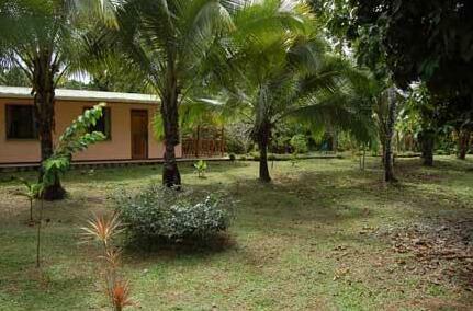 Cabinas Caribe Luna - Photo2