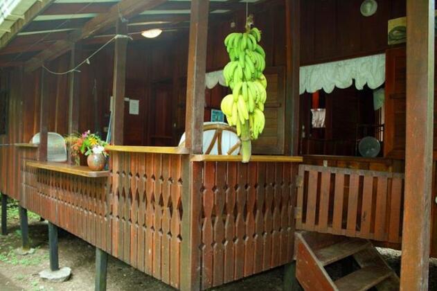 Cabinas Iguana Cahuita - Photo2