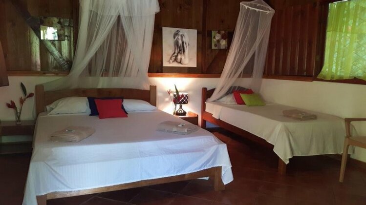 Cabinas Nirvana Ecolodge - Photo4