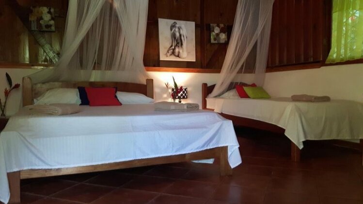 Cabinas Nirvana Ecolodge - Photo5