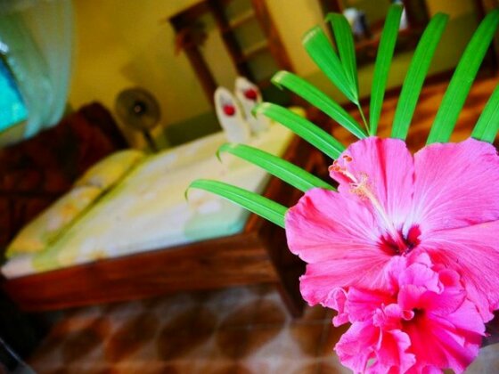 Caribbean house - Photo2