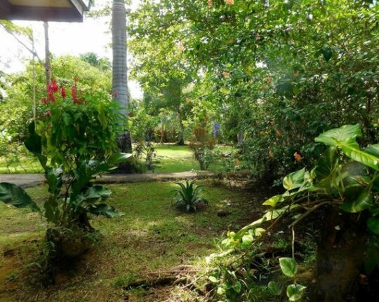 Caribbean Secret - Photo4