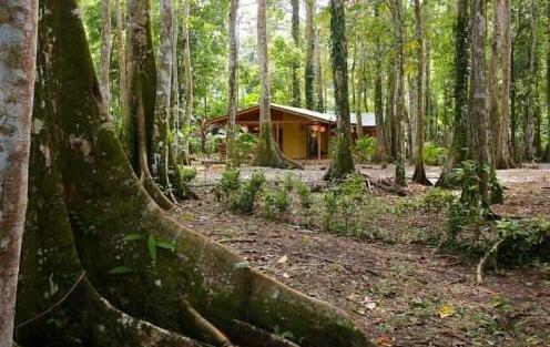 Casa del Bosque Cahuita - Photo2