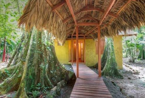 Casa del Bosque Cahuita - Photo4