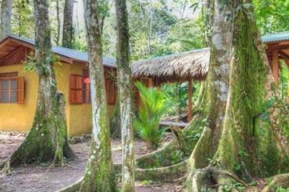 Casa del Bosque Cahuita
