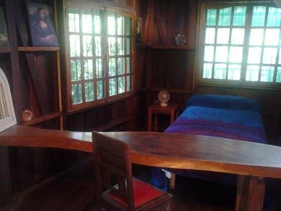 Casa Paloma Cahuita - Photo5