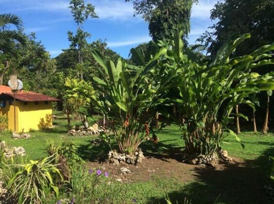 Colibri Paradise - Photo5