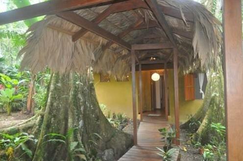 La Casa del Parque Cahuita - Photo4
