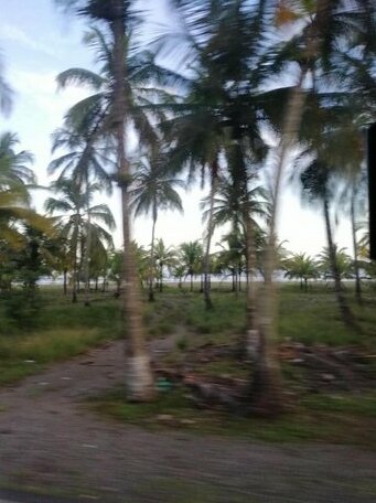 Samijocahuita - Photo3
