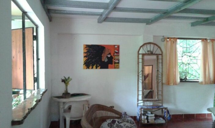 The Tropical Garden - Photo5
