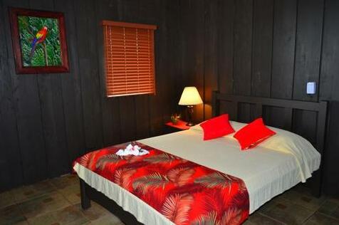 Buena Vista Lodge - Photo4