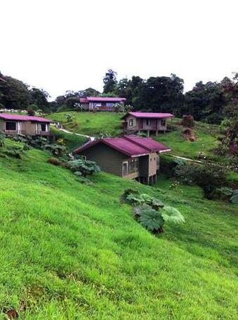 Refugio Lodge Monteverde - Photo4