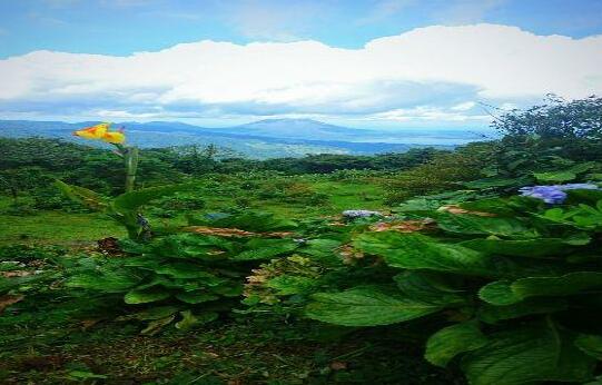 Vistaverde Lodge - Photo4