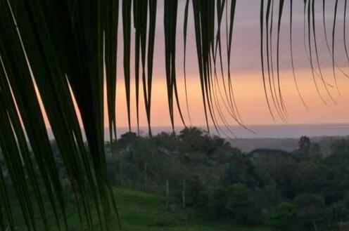 Le Paradise Vert - Photo4
