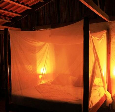 El Remanso Lodge - Photo2