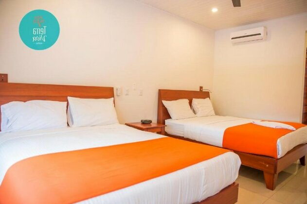 Hotel Terra Viva - Photo3