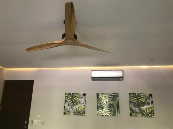 Casa Papito - Photo5