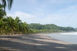 Guanamar Beach Resort - Photo3