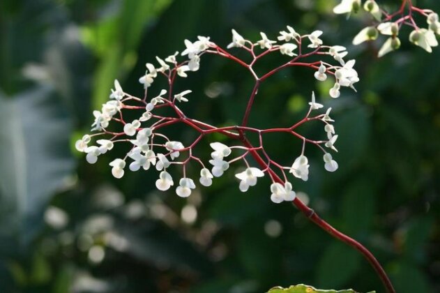 Tree of Life Cabinas - Photo4