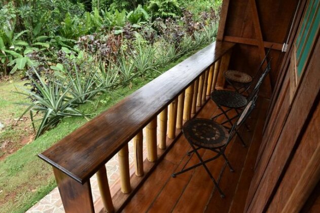 Calathea Drake Lodge - Photo4