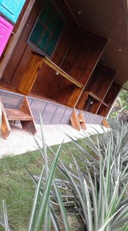 Calathea Drake Lodge - Photo5