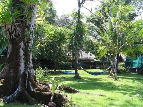 Corcovado Adventures Tent Camp - Photo4