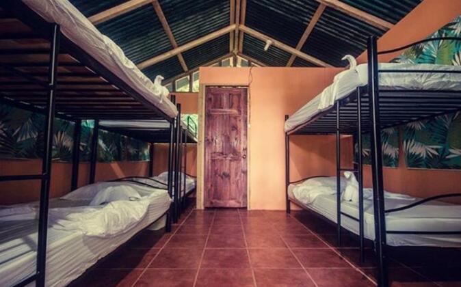 Corcovado Jungle Hostel - Photo4