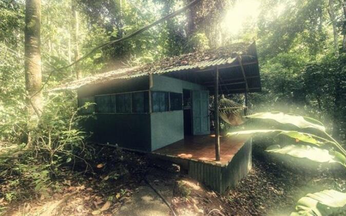 Corcovado Jungle Hostel - Photo5