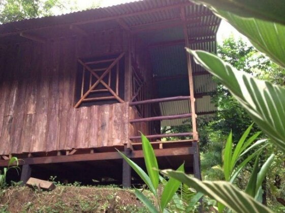 Drake Bay Paradise Lodge - Photo3