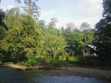 Estacion Biologica Tamandua