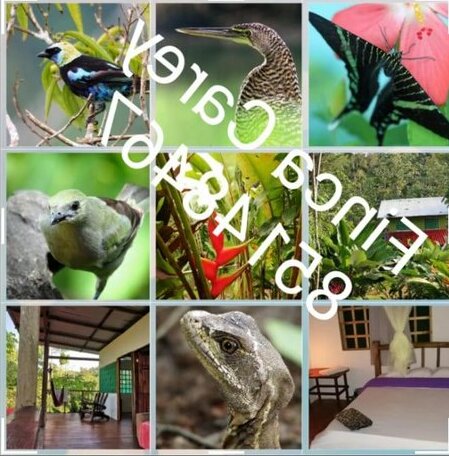 Finca Carey Drake Bay - Photo2