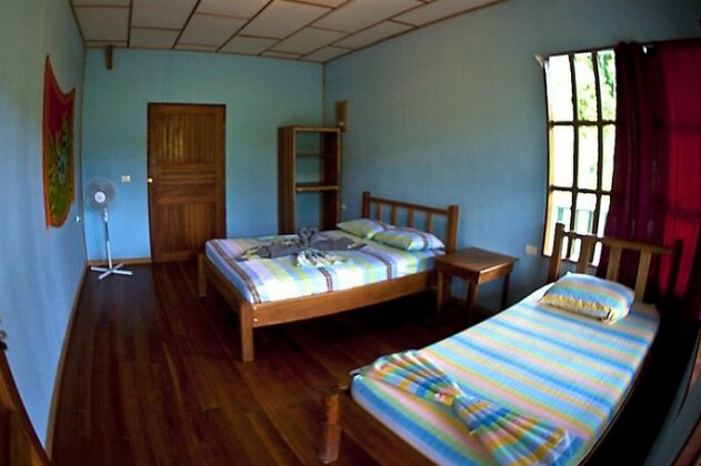Hakuna Matata Drake Bay Hostel - Photo3