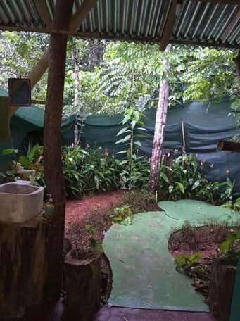 Isla Violin Eco-Lodge - Photo2