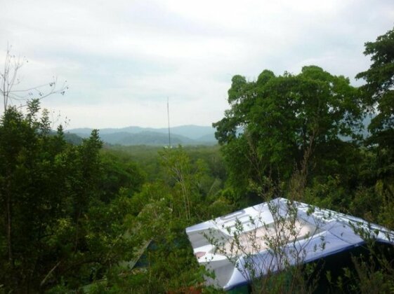 Isla Violin Eco-Lodge - Photo4