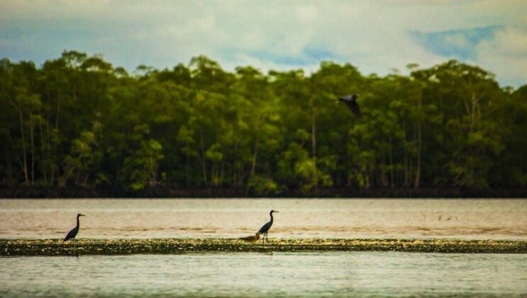 Isla Violin Eco-Lodge - Photo5