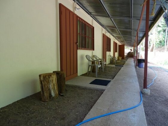Osa Tucan - Photo2