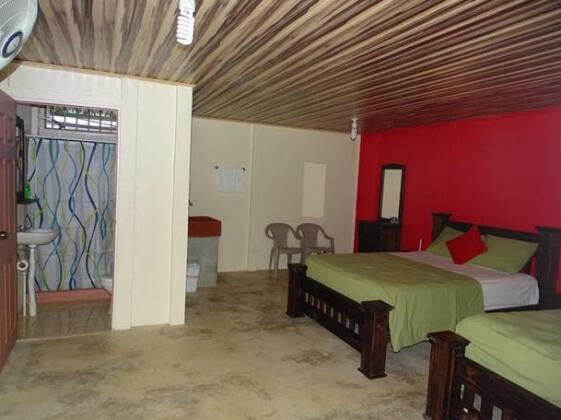 Osa Tucan - Photo4