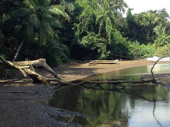Pirate Cove - Photo5