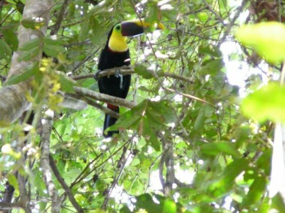 Punta Marenco Lodge - Photo3