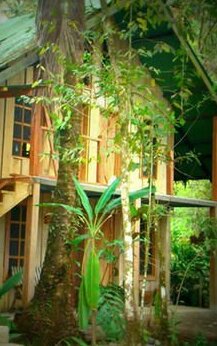 La Gamba Rainforest Lodge - Photo2