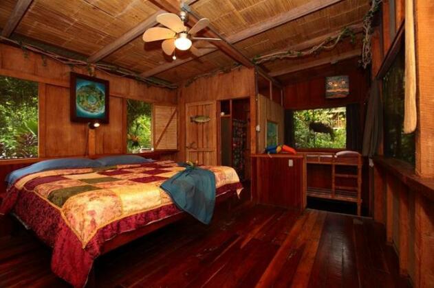Casa Rio Blanco Eco Friendly B&B - Photo3