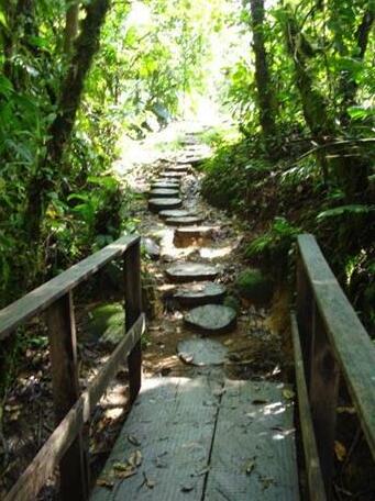 Rara Avis Rainforest Lodge - Photo3