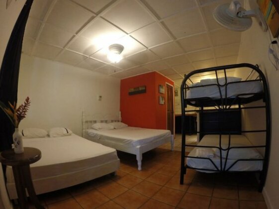 Beds on Bohio Hostel - Photo5